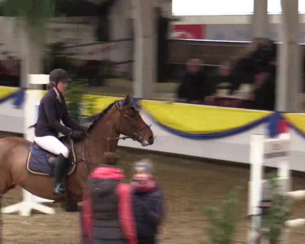 Reitturnier Vreden 2018