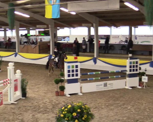 Reitturnier Vreden 2018
