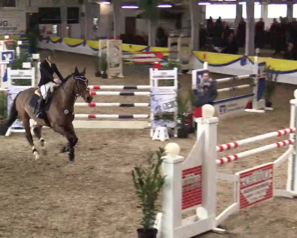Reitturnier Vreden 2018