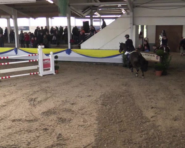 Reitturnier Vreden 2018