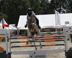 jumper Shold be white (Westphalian, 2012, from Stakko)