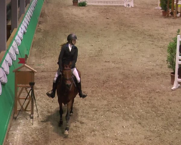 Reitturnier Gahlen 2018