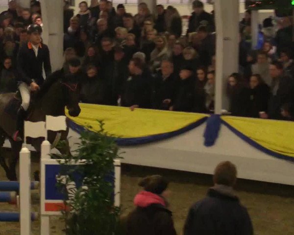 Reitturnier Vreden 2018