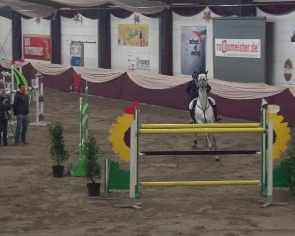 Reitturnier Eppelheim 2018