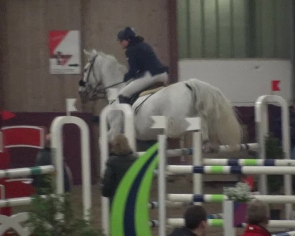 Reitturnier Eppelheim 2018