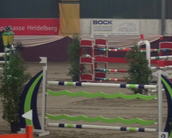 Reitturnier Eppelheim 2018
