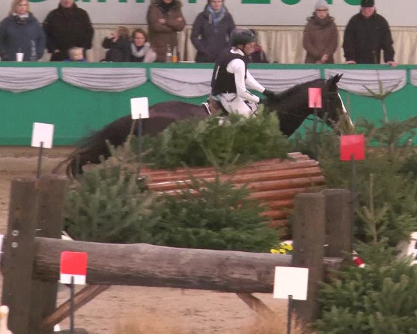 Reitturnier Gahlen 2018