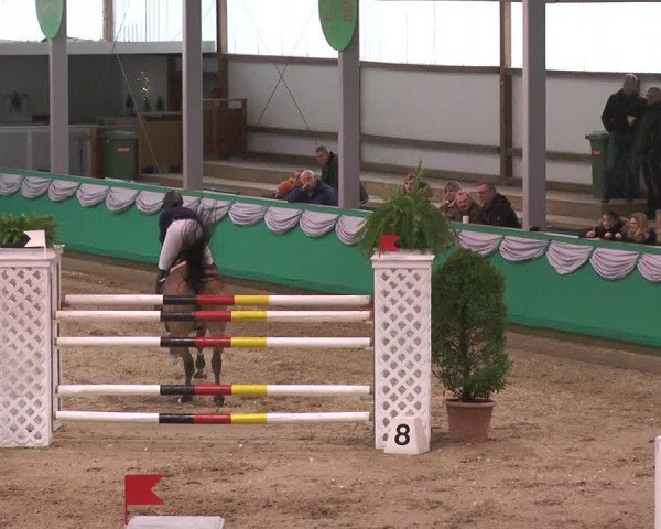 Reitturnier Gahlen 2018