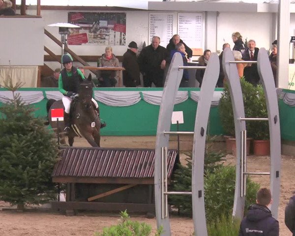 Reitturnier Gahlen 2018