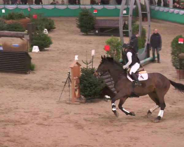 Reitturnier Gahlen 2018