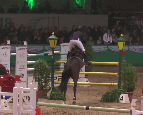 Reitturnier Gahlen 2018