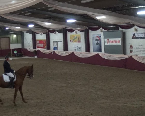 Reitturnier Eppelheim 2018