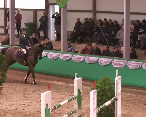 Reitturnier Gahlen 2018