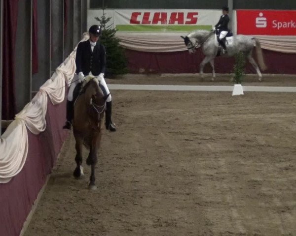 Reitturnier Eppelheim 2018
