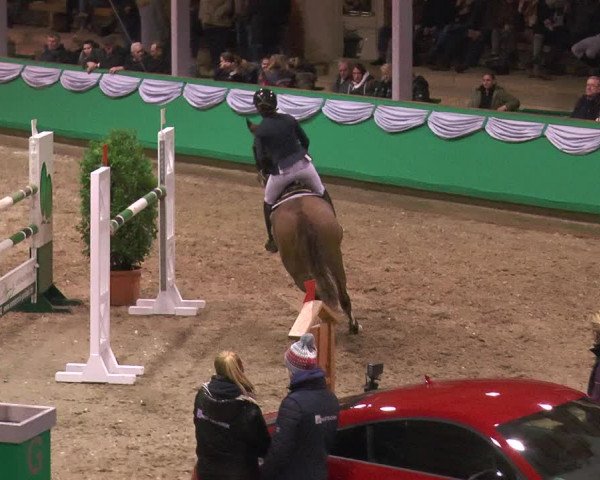 Reitturnier Gahlen 2018