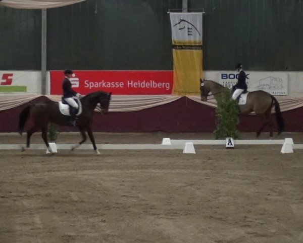 Reitturnier Eppelheim 2018