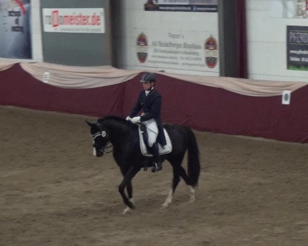 Reitturnier Eppelheim 2018