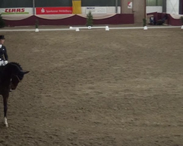 Reitturnier Eppelheim 2018