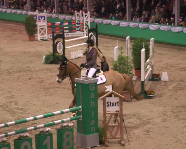 Reitturnier Gahlen 2018