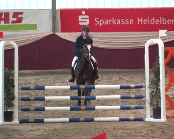 Reitturnier Eppelheim 2018