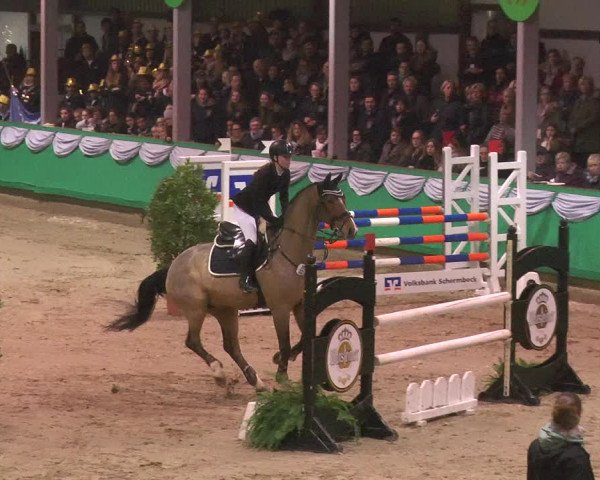 Reitturnier Gahlen 2018