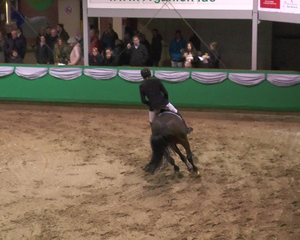 Reitturnier Gahlen 2018
