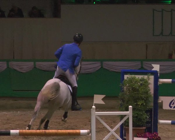 Reitturnier Gahlen 2018
