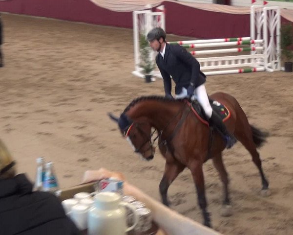 Reitturnier Eppelheim 2018