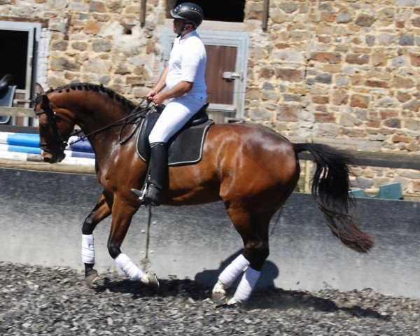 horse LePetit (Rhinelander, 2011, from Laureus NRW)