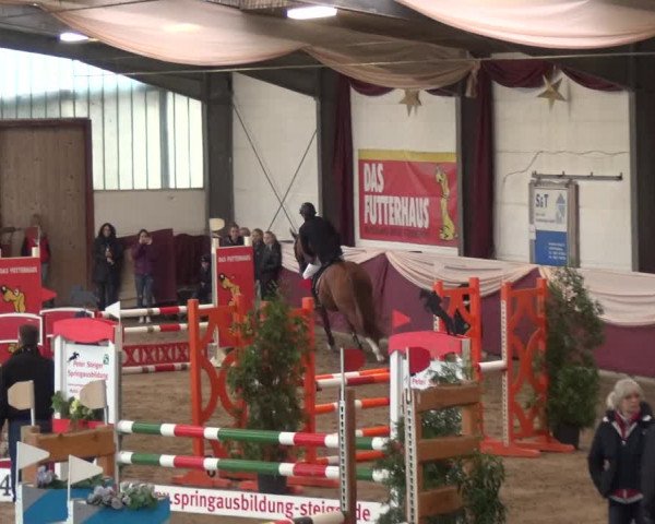 Reitturnier Eppelheim 2018