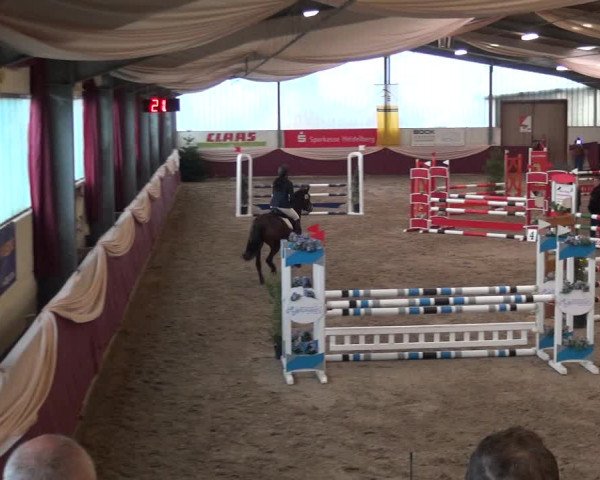Reitturnier Eppelheim 2018