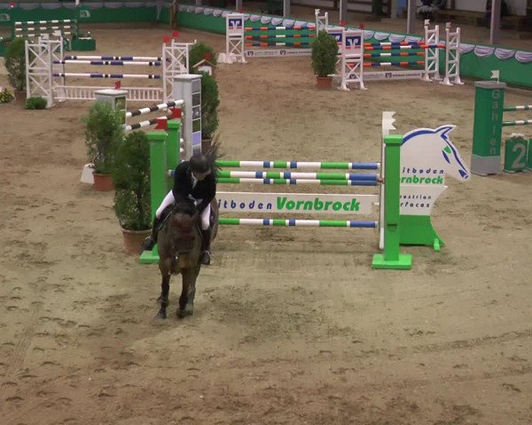 Reitturnier Gahlen 2018