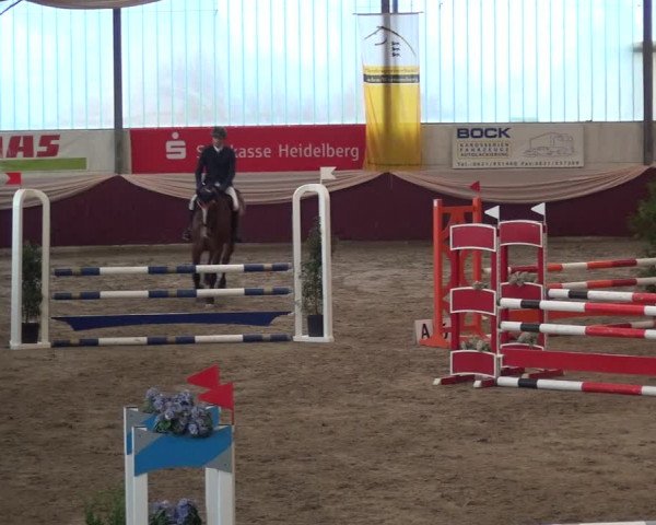 Reitturnier Eppelheim 2018