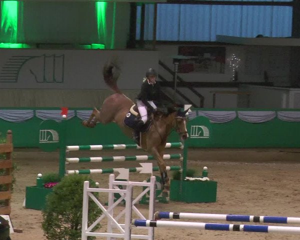 Reitturnier Gahlen 2018