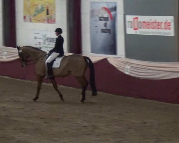 Reitturnier Eppelheim 2018