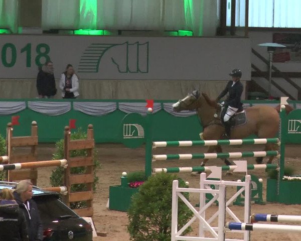 Reitturnier Gahlen 2018