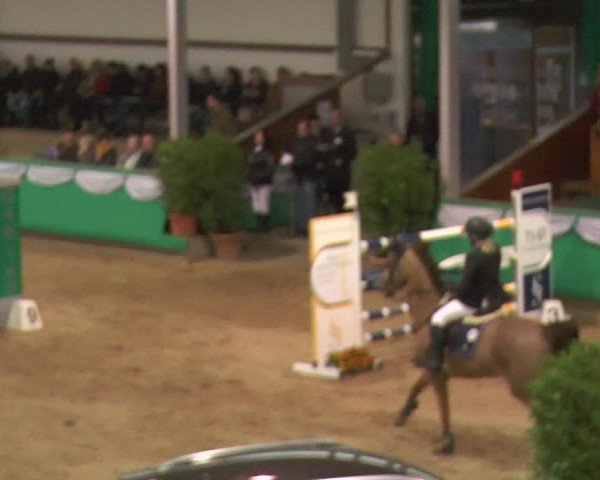 Reitturnier Gahlen 2018
