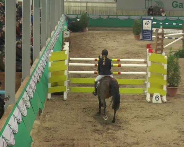 Reitturnier Gahlen 2018