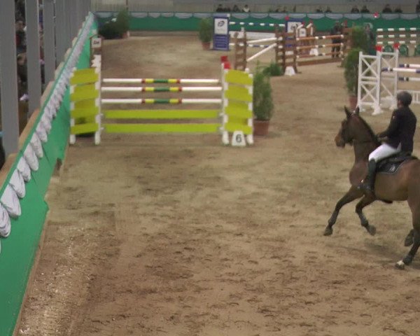 Reitturnier Gahlen 2018