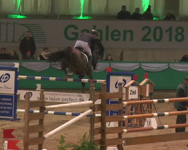 Reitturnier Gahlen 2018