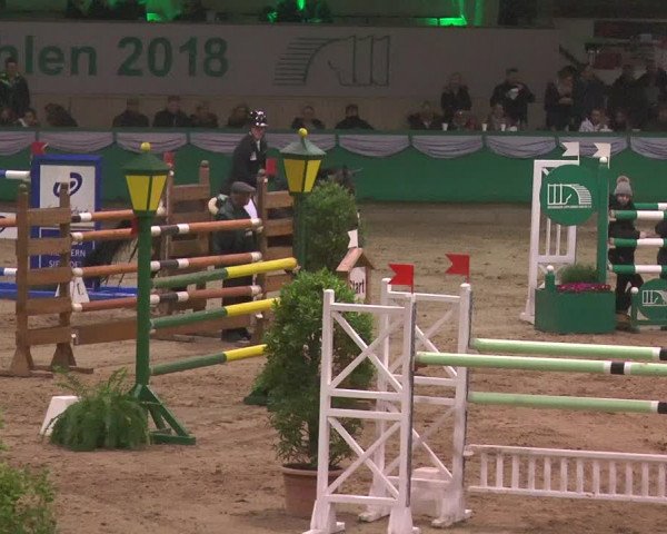 Reitturnier Gahlen 2018