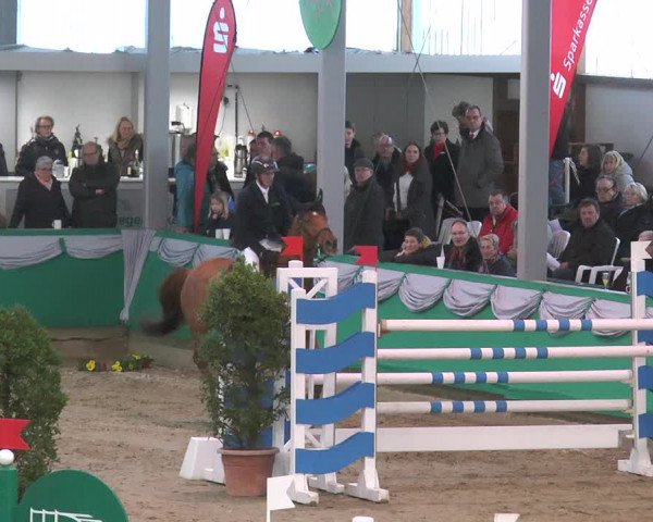 Reitturnier Gahlen 2018