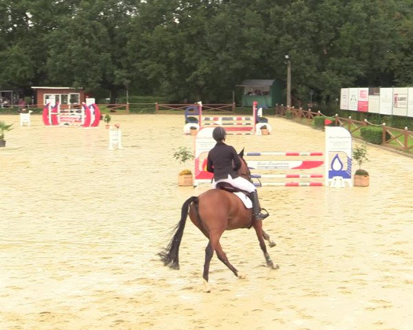 Equus Colonius - Reitanlage Brüse Köln 2021