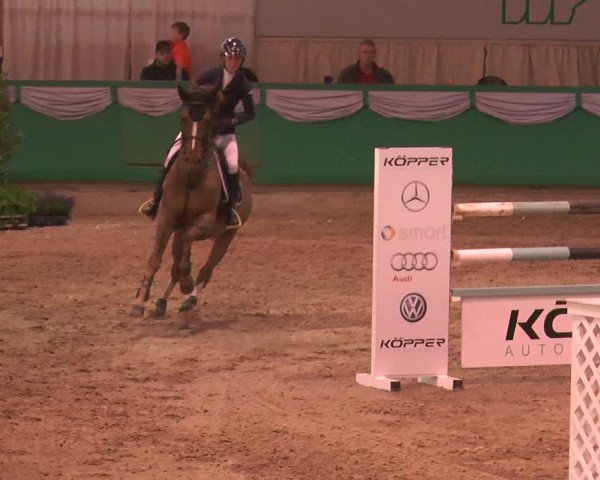 Reitturnier Gahlen 2018