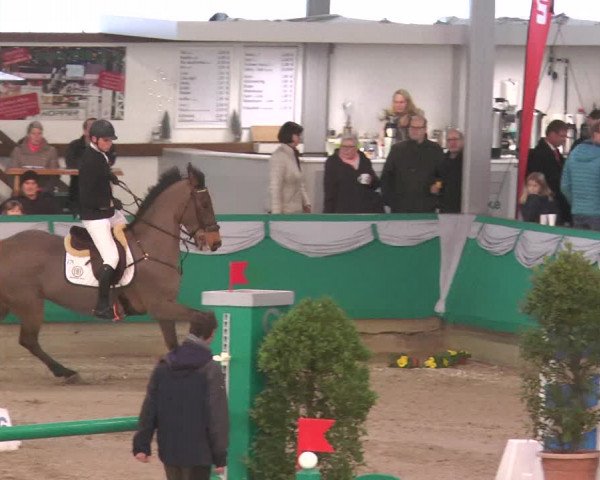 Reitturnier Gahlen 2018