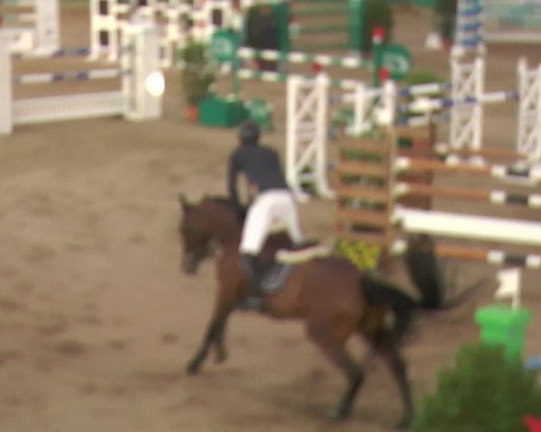 Reitturnier Gahlen 2018