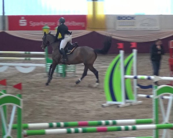 Reitturnier Eppelheim 2018
