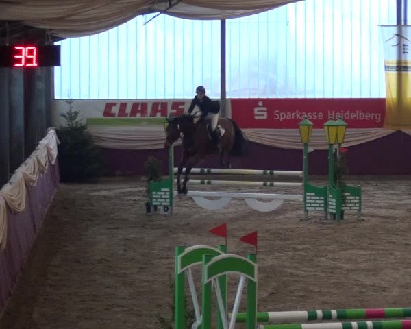 Reitturnier Eppelheim 2018