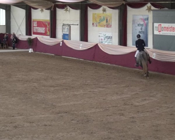 Reitturnier Eppelheim 2018