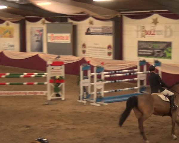 Reitturnier Eppelheim 2018